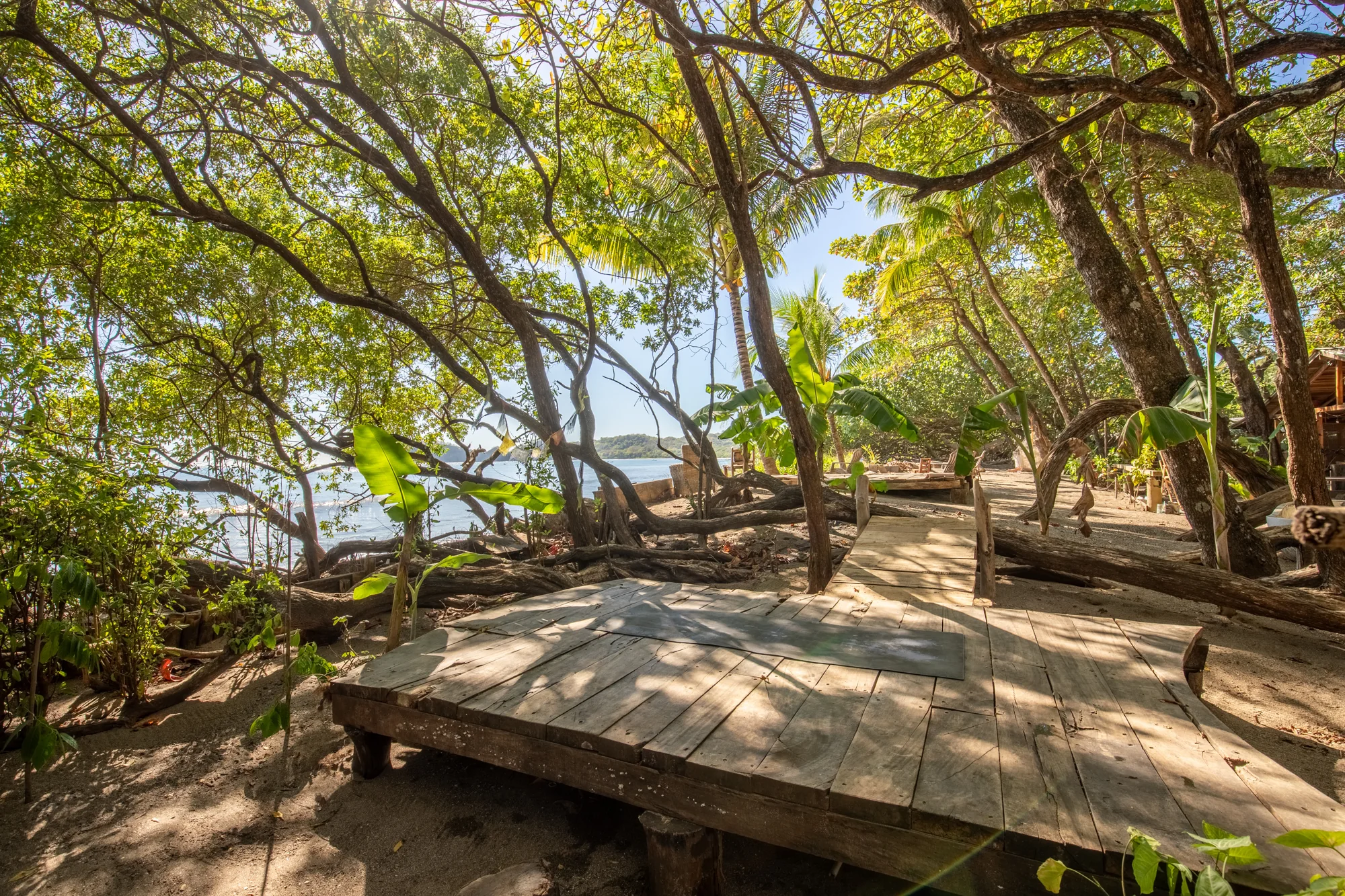 Wooden deck beneath coastal trees near the van